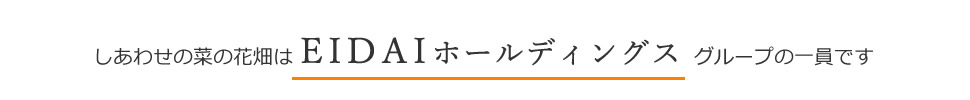 EIDAIホールディングスグループの一員です