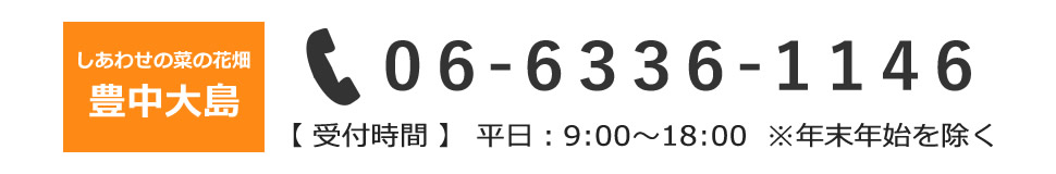 しあわせの菜の花畑豊中大島　06-6336-1146